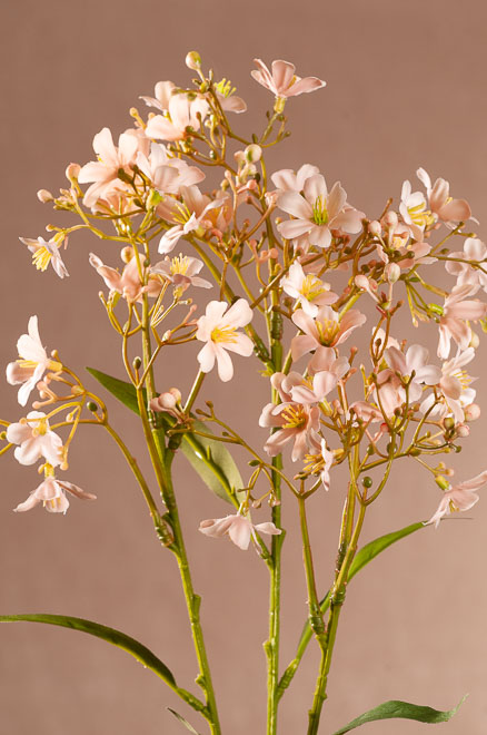 F408-P Daphne Spray 72 cm světle růžová